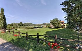 Appartamento Olivo - Agriturismo Le Selvole